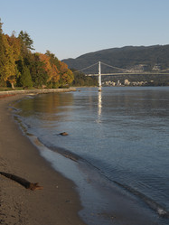 Similar image 8009807