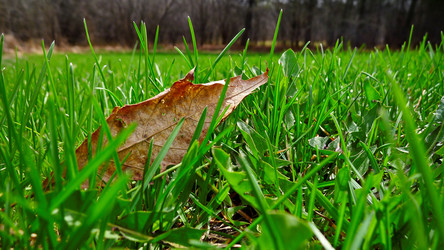 Similar image 8009809