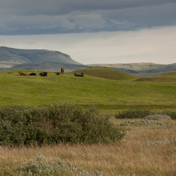 Similar image 8009811