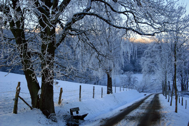 Similar image 8009812