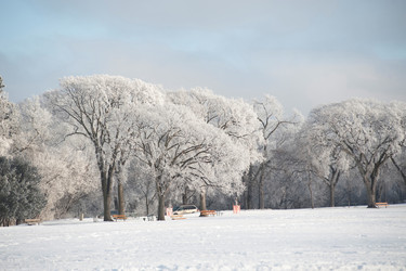 Similar image 8009813