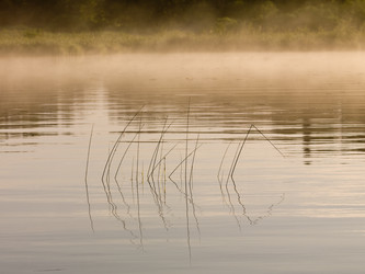 Similar image 8009821