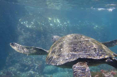 Similar image 8009822