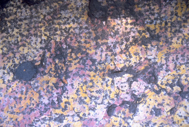 Similar image 8009825