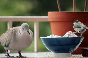 Similar image 8009834