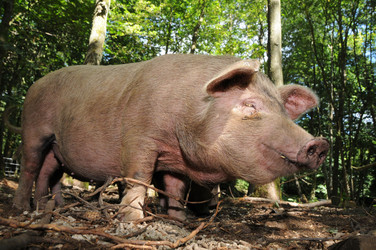 Similar image 8009837