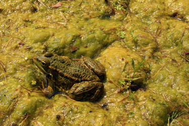 Similar image 8009838