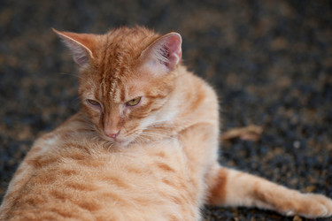 Similar image 8009840