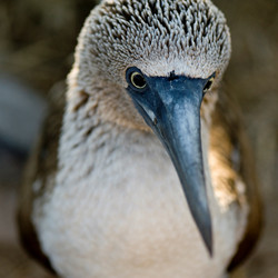 Similar image 8009844