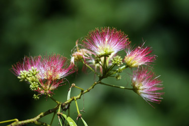 Similar image 8009847