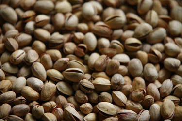 Similar image 8009850