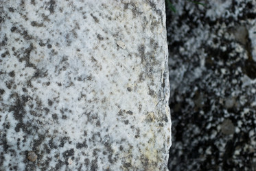 Similar image 8009859