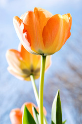 Similar image 8009865