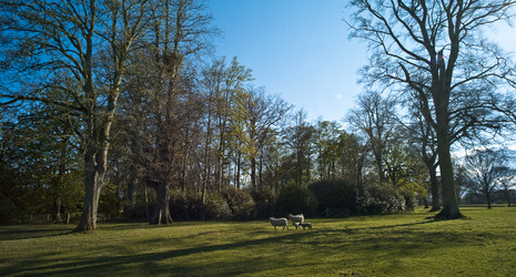 Similar image 8009869