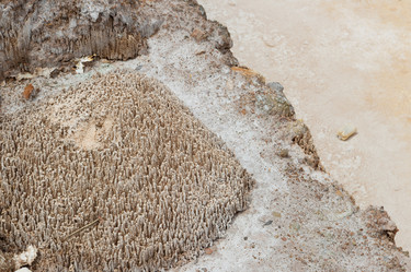 Similar image 8009871