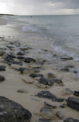 Similar image 8010189