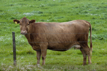 Similar image 8010194