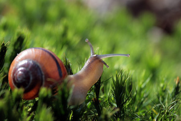 Similar image 8010196