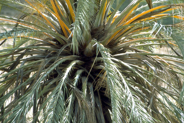 Similar image 8010199