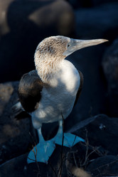 Similar image 8010201