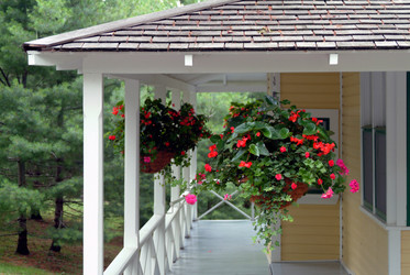 Similar image 8010202