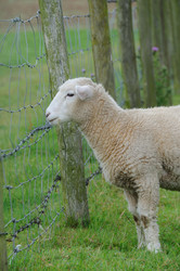 Similar image 8010204