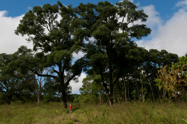 Similar image 8010413