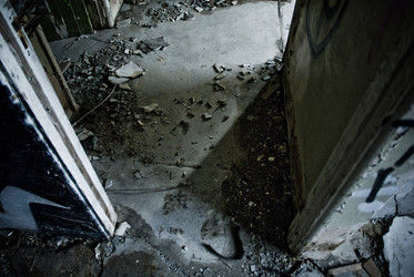 Similar image 8010416