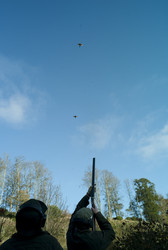 Similar image 8010418