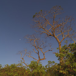 Similar image 8010427