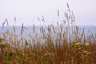 Similar image 8010430