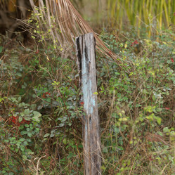 Similar image 8010433