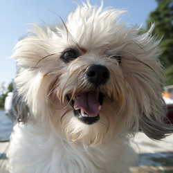 Similar image 8010441