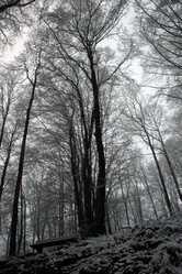 Similar image 8010446