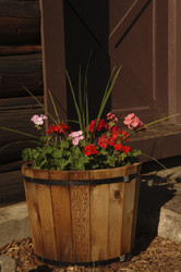 Similar image 8010449