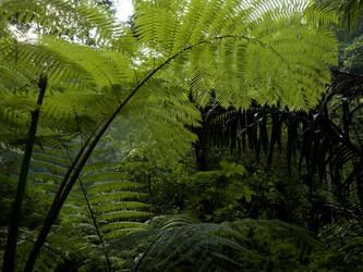 Similar image 8010452