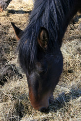 Similar image 8010455