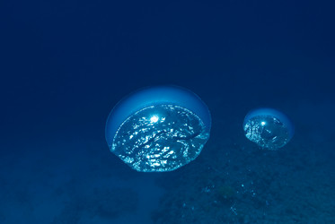 Similar image 8010457