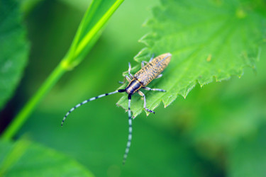 Similar image 8010468