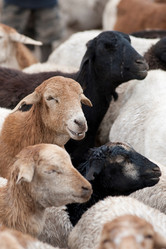 Similar image 8010477