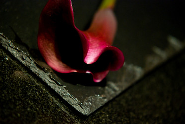 Similar image 8010480