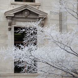 Similar image 8010483