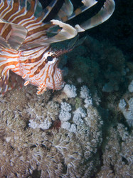 Similar image 8010484