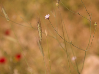 Similar image 8010492