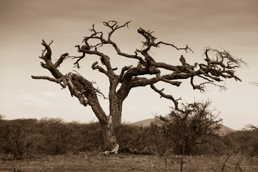 Similar image 8010493