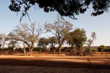 Similar image 8010495