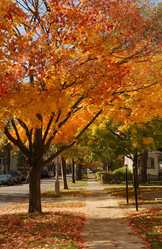 Similar image 8010497