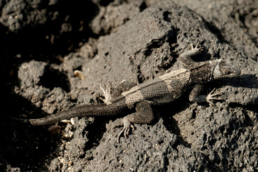 Similar image 8010503