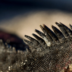 Similar image 8010509