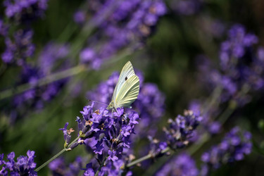 Similar image 8010516